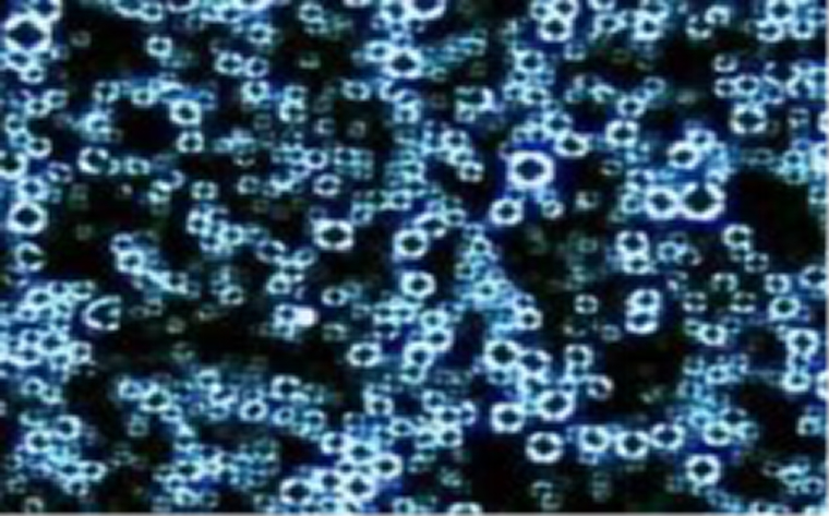 Microscopic liquid crystal structure in emulsion